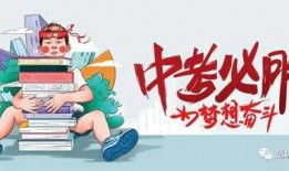 官方兔年爆料最新消息,新春惊喜与重大动态抢先看